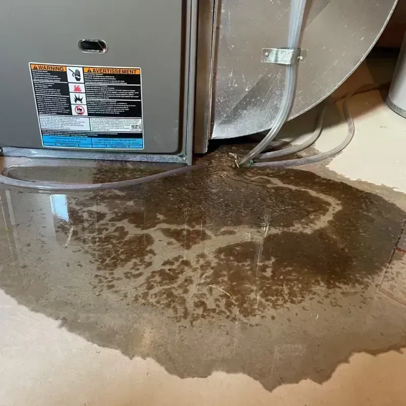 Appliance Leak Cleanup in Phillips County, KS